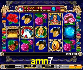Live Casino amn7